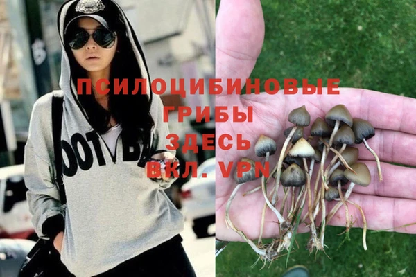 прущая мука Няндома