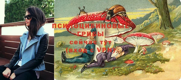 прущая мука Няндома