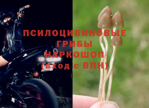 прущая мука Нягань